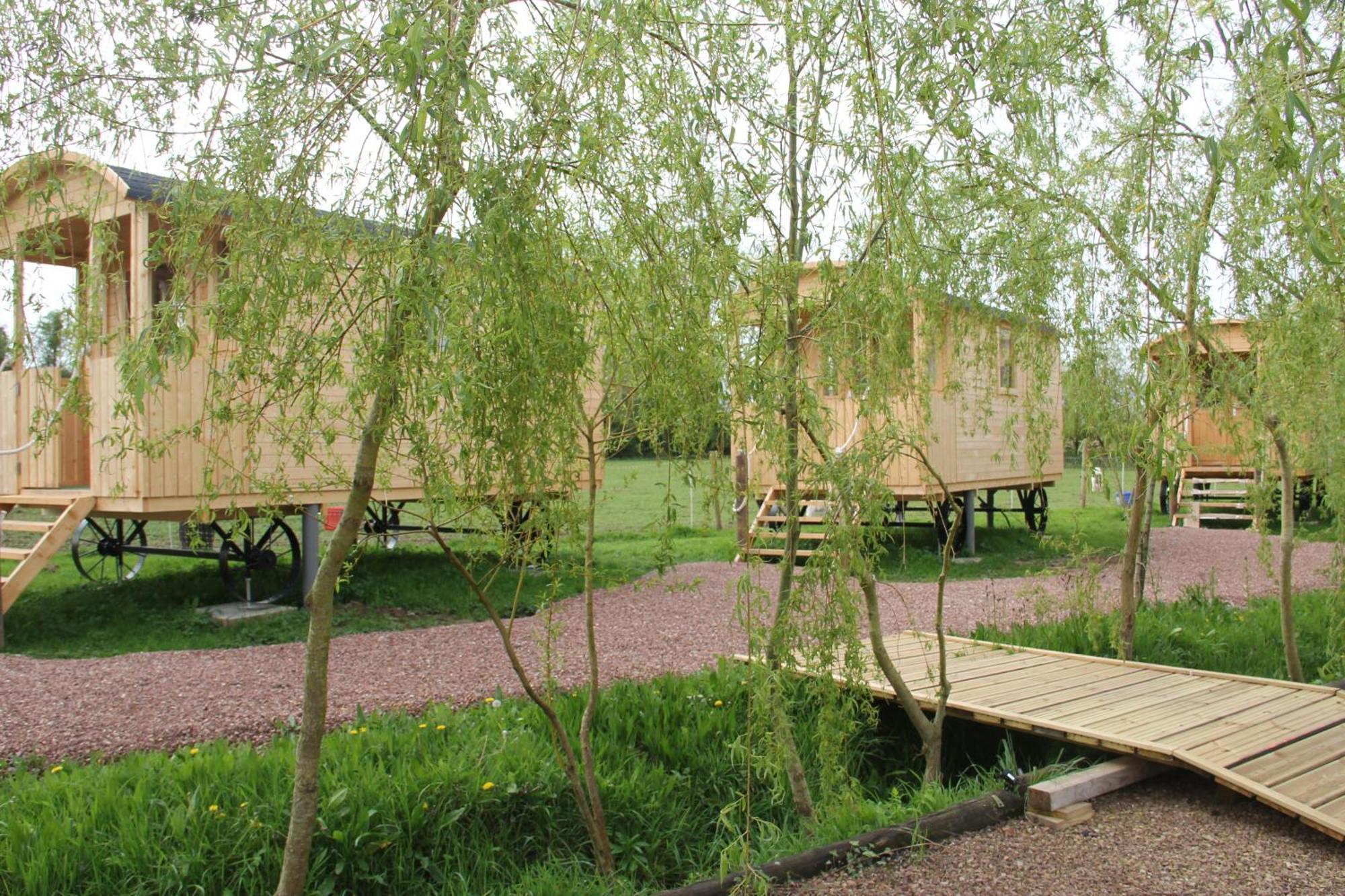 Logis Du Grand Pin Lejlighed Saint-Martin-des-Entrées Eksteriør billede